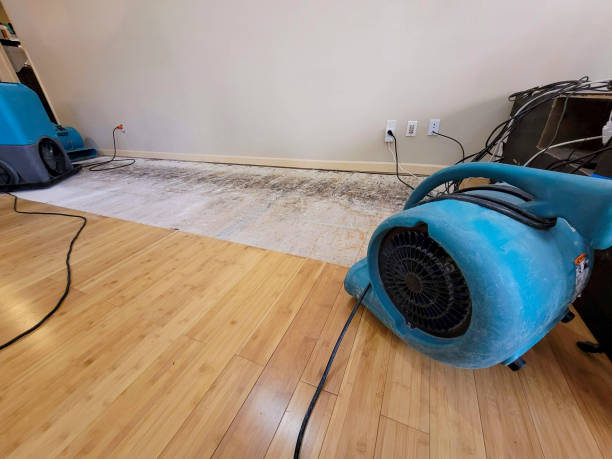 Professional Water Extraction technician working in Andover, MA